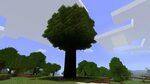 Big Tree Minecraft Map
